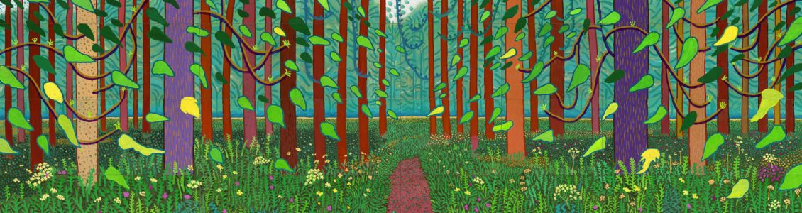 Braicearacht le Dónal Browne 14907496